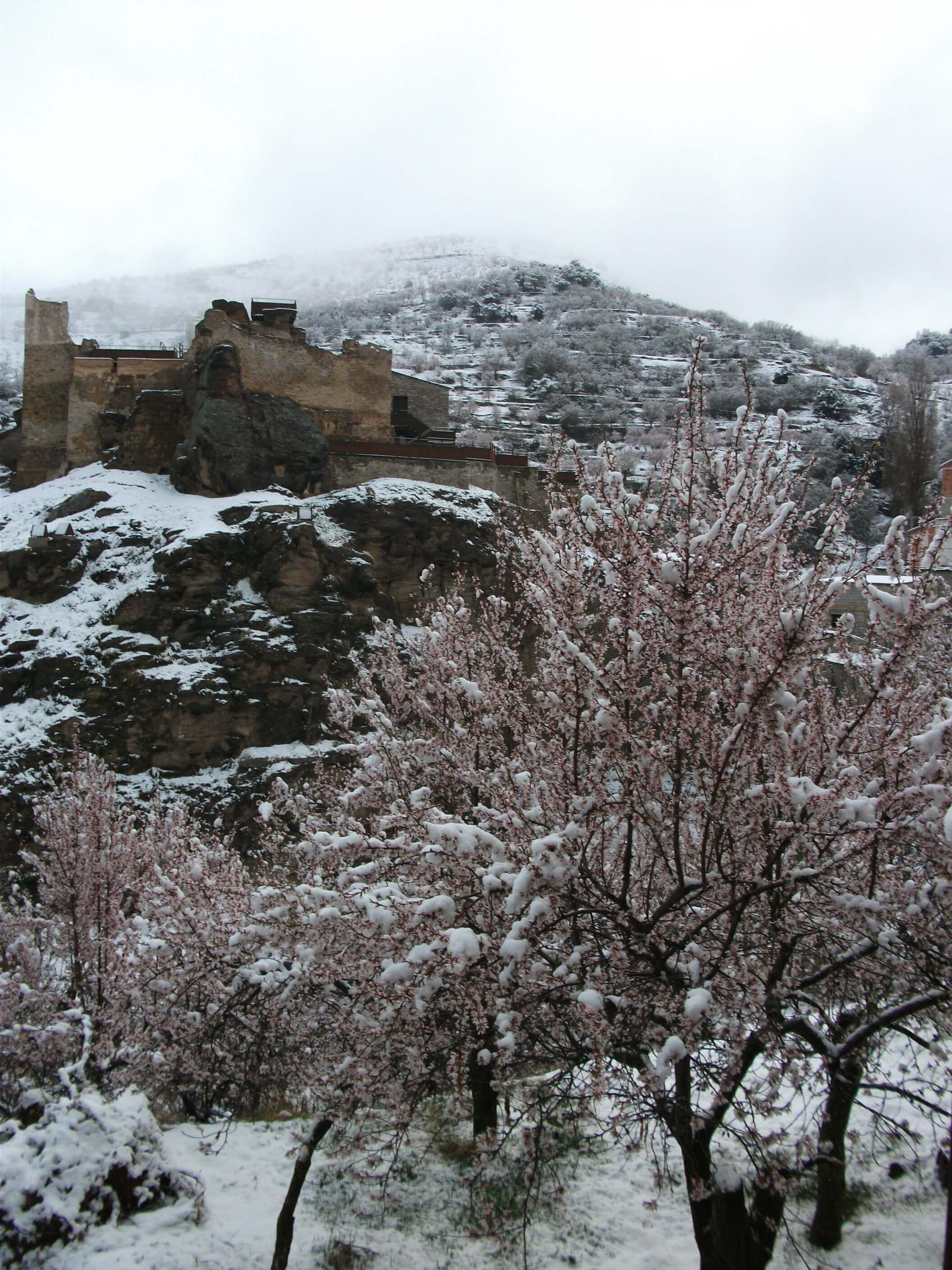 nieve 5 bacares hotel las fuentes